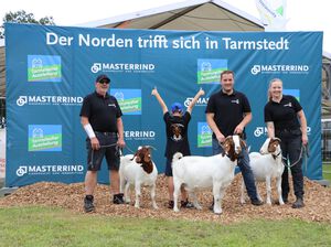 BUZ Ziegen sind spitze